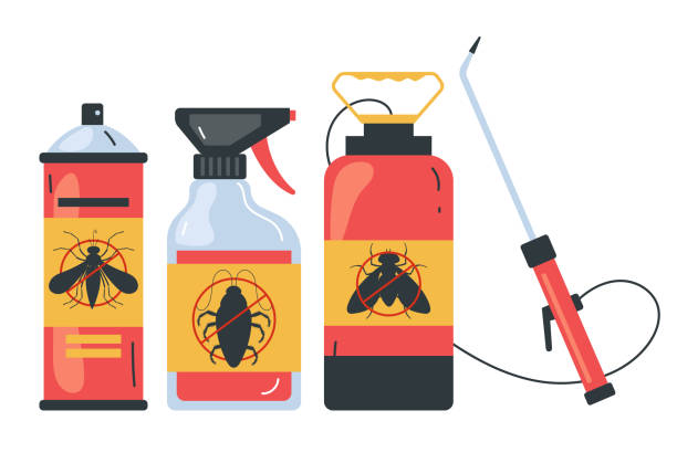 Trusted Las Quintas Fronterizas, TX Pest Control Experts