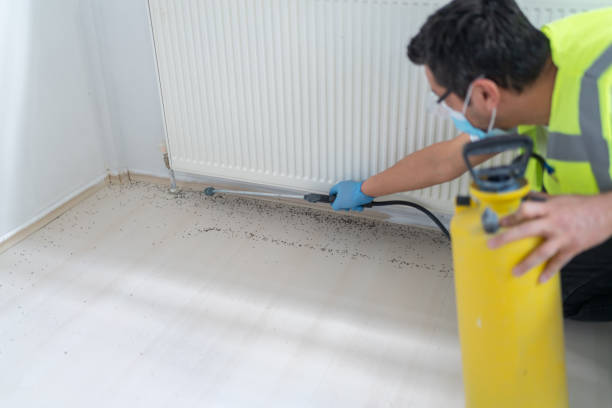 Best Cockroach Control Services  in Las Quintas Fronterizas, TX